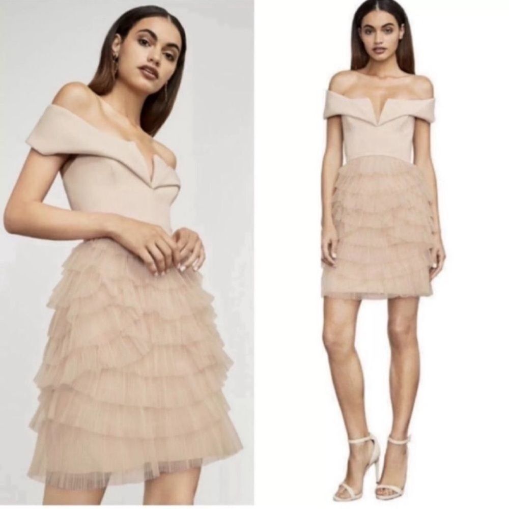 BCBGMaxAzria Ballet Girl Pink Ruffle Dress